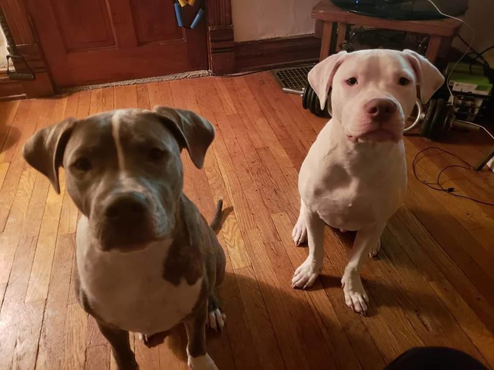Best friends!